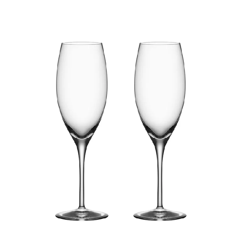 Vintage-inspired whiskey tumblers-Premier Champagne Flute, Set of 2