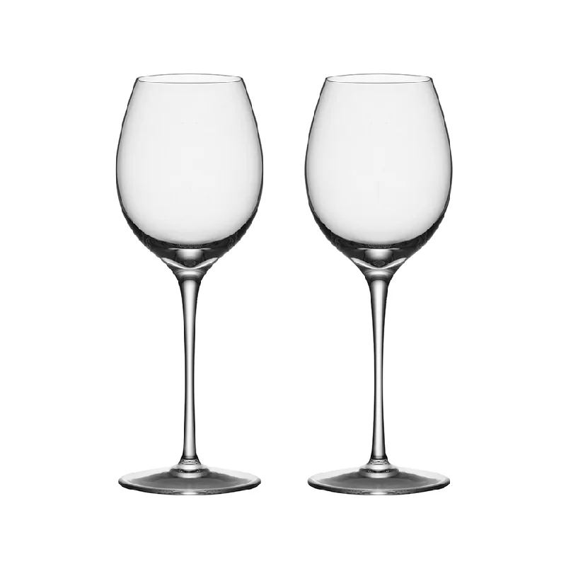 Elegant etched wine glasses-Premier Riesling Glass, Set of 2